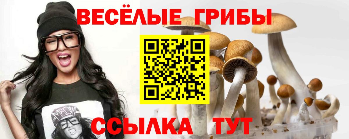 Боровичи  Галлюциногенные грибы GOLDEN TEACHER  Вход с VPN 